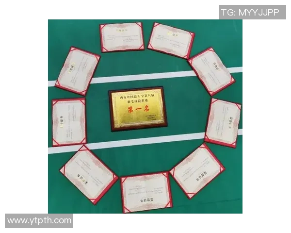 西安羽毛球队的精神风貌与发展历程探讨